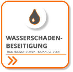 TROCKNUNGSTECHNIK - INSTANDSETZUNG WASSERSCHADEN- BESEITIGUNG