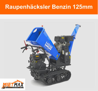 Raupenhäcksler Benzin 125mm